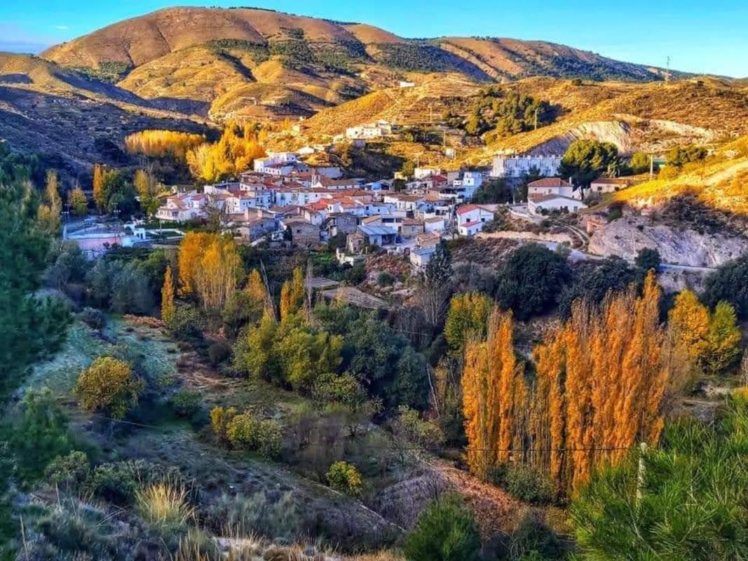 Terreno en venta en Alcontar, Almería photo 5