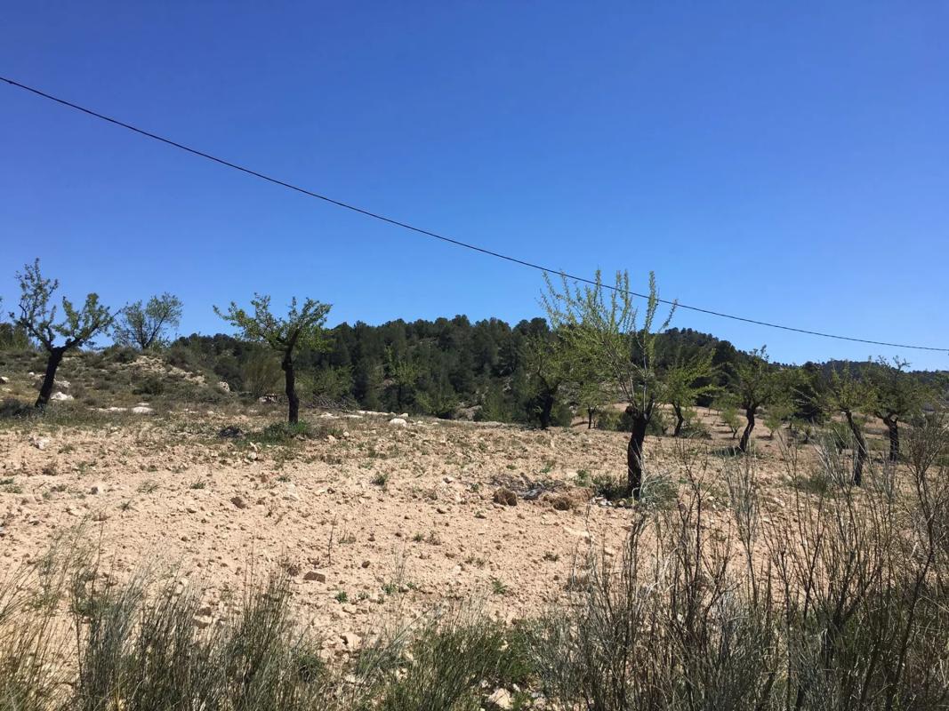 Land for sale in Oria, Almería photo 2