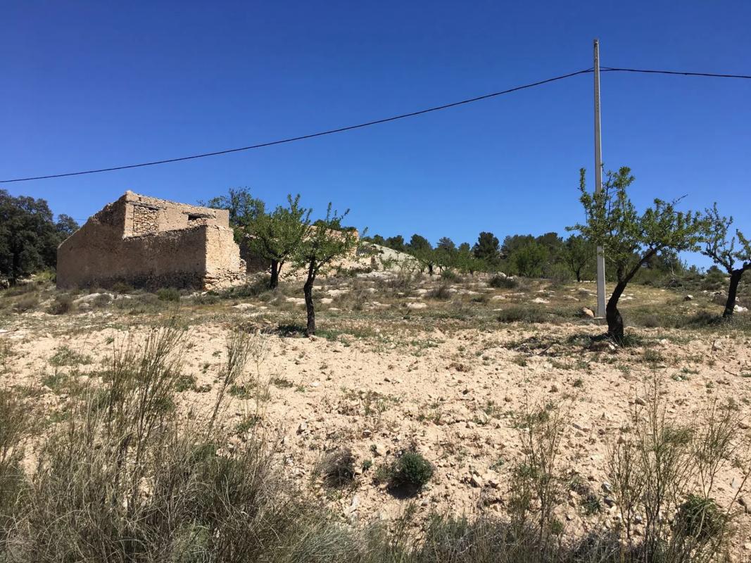 Land for sale in Oria, Almería photo 3