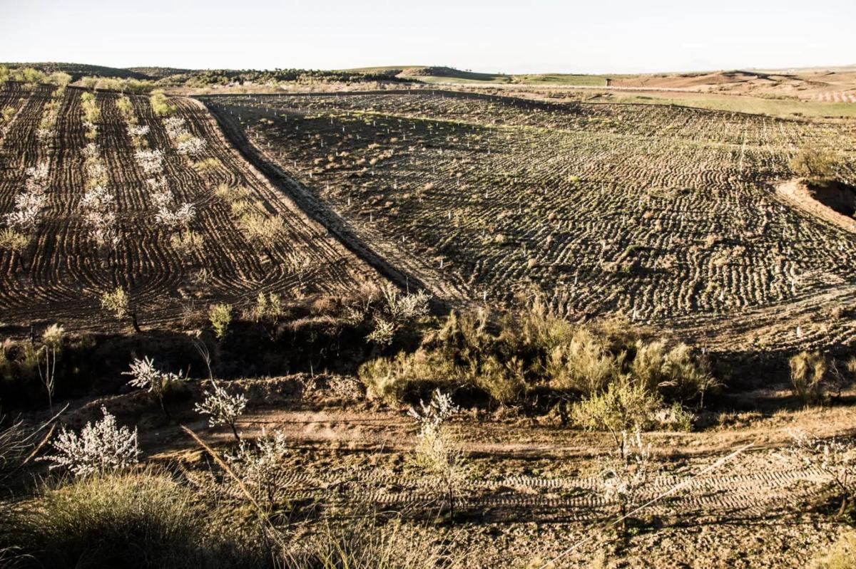 Terreno en venta en Alcontar, Almería photo 2