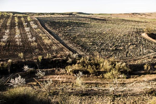 Terreno en Alcontar s/n photo 2