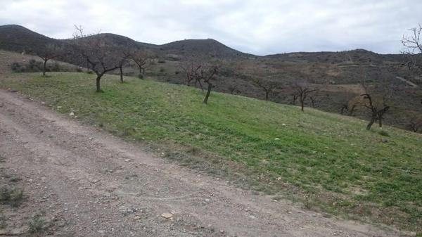 Terreno en Vía photo 2
