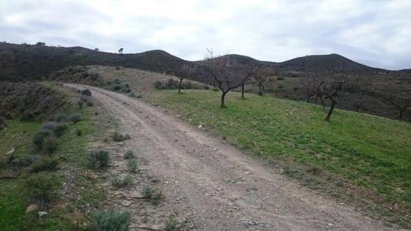 Terreno en Vía photo 3