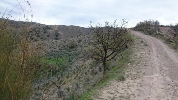 Terreno en Vía photo 3