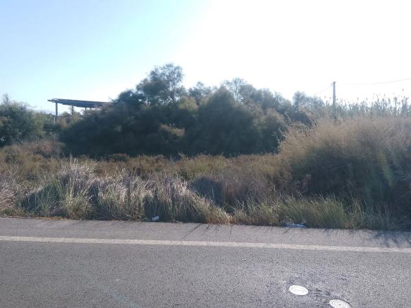 Terreno en carretera Sacramento, 140 photo 4
