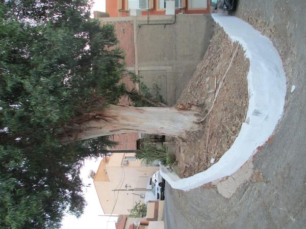 Terreno en calle Jazmin, 13 thumbnail 1