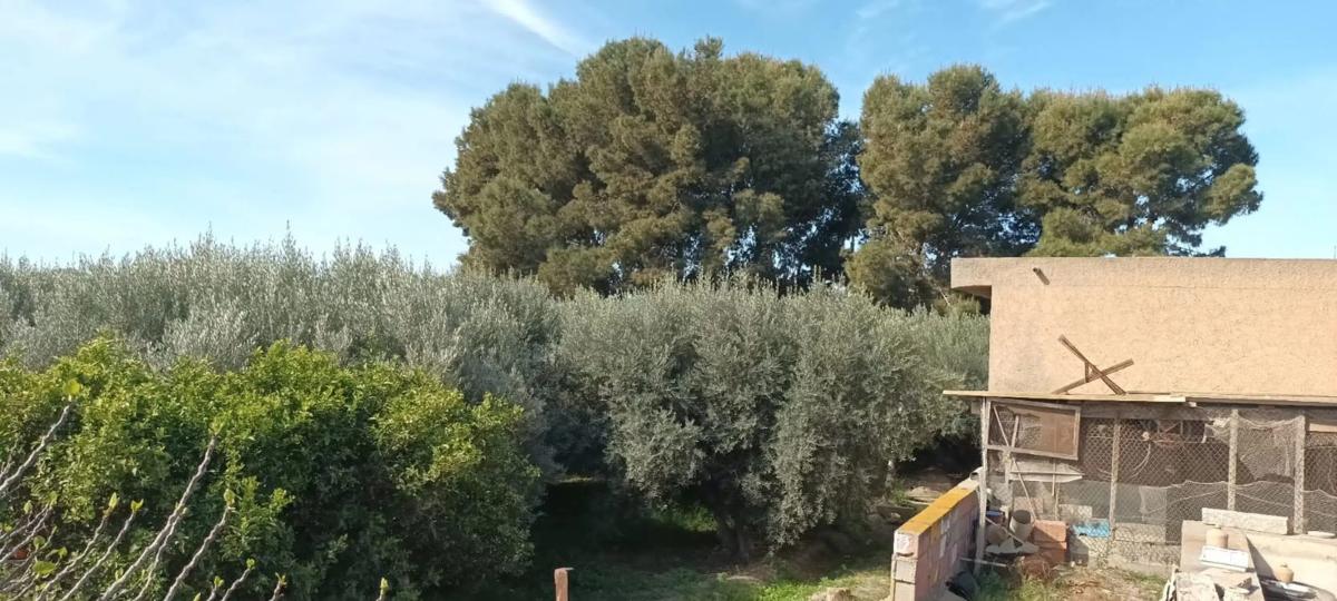 Land for sale in Huércal de Almería, Almería photo 3