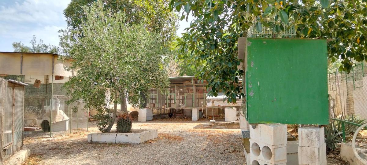 Terreno en venta en Pechina, Almería photo 2