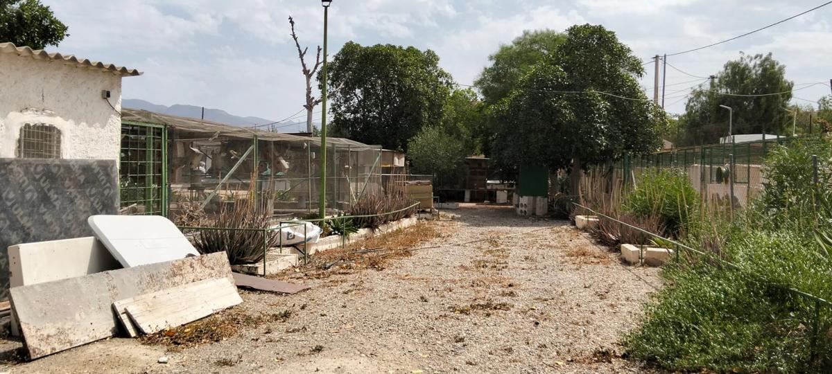 Terreno en venta en Pechina, Almería photo 3