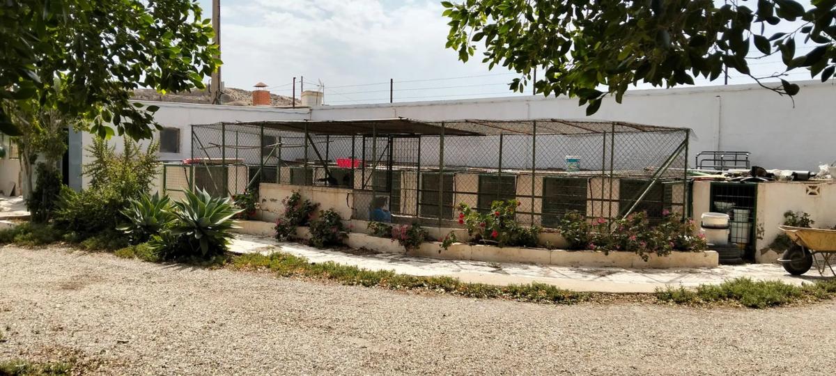 Terreno en venta en Pechina, Almería photo 5