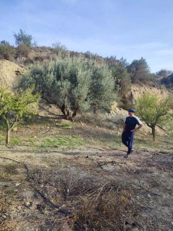 Terreno en Alhabia s/n thumbnail 2
