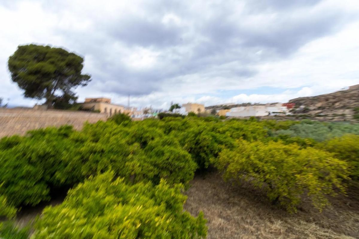 Terreno en venta en Rioja, Almería photo 1
