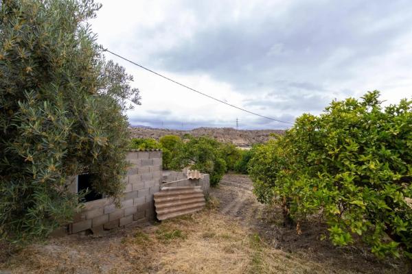 Terreno en Rioja photo 4