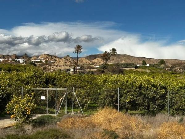 Terreno en camino Quiciliana s/n photo 1