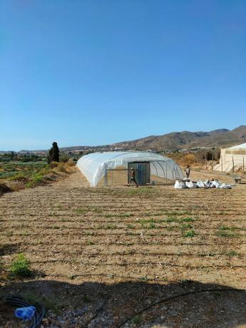 Terreno en camino Pollo Rubio s/n photo 2