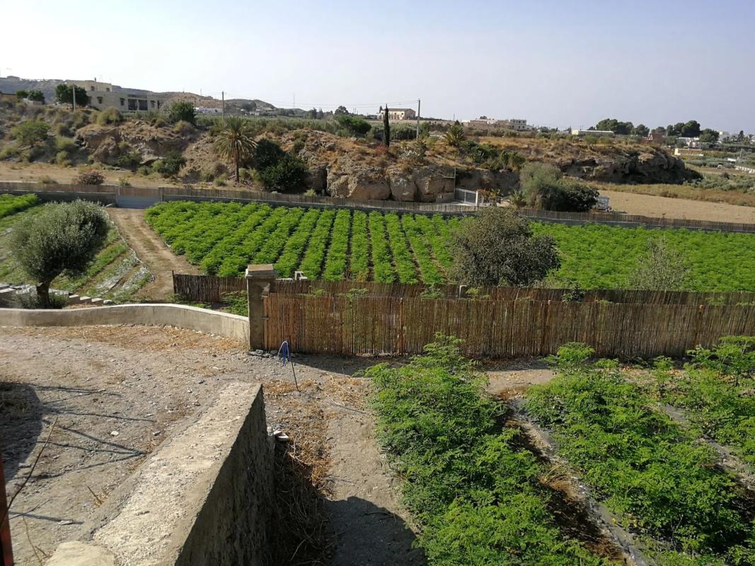 Terreno en venta en Pechina, Almería photo 4