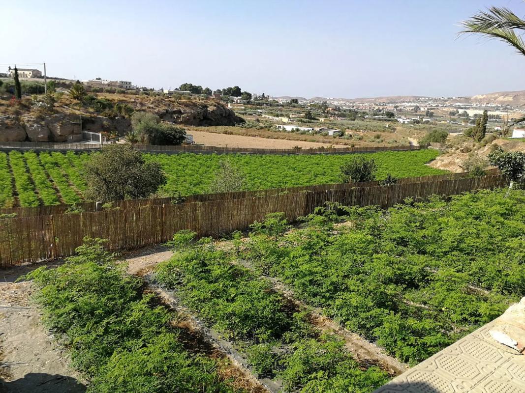 Terreno en venta en Pechina, Almería photo 5