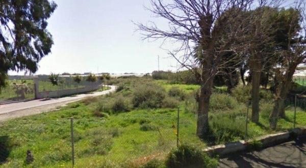 Terreno en Poligono Sup photo 4