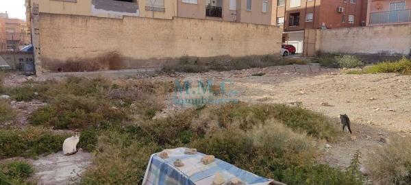 Terreno en Barrio San Luis - Los Molinos photo 4