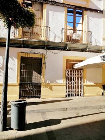 Terreno en calle San Francisco de Asís, 16 thumbnail 1
