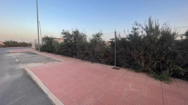 Terreno en camino del Palomar s/n thumbnail 2