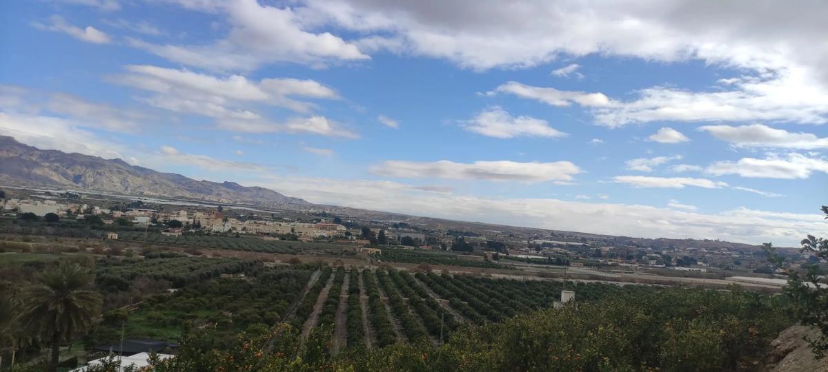 Terreno en venta en Benahadux, Almería photo 4
