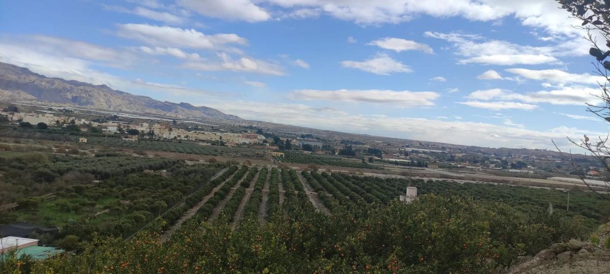 Terreno en venta en Benahadux, Almería photo 5