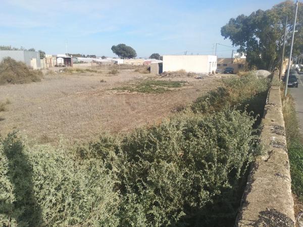 Terreno en carretera de Alquian a Viator s/n photo 1