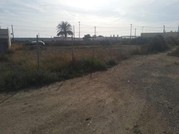 Terreno en carretera de Alquian a Viator s/n thumbnail 2