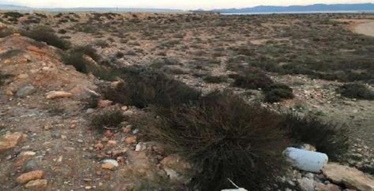 Terreno en venta en Almería, Almería photo 1