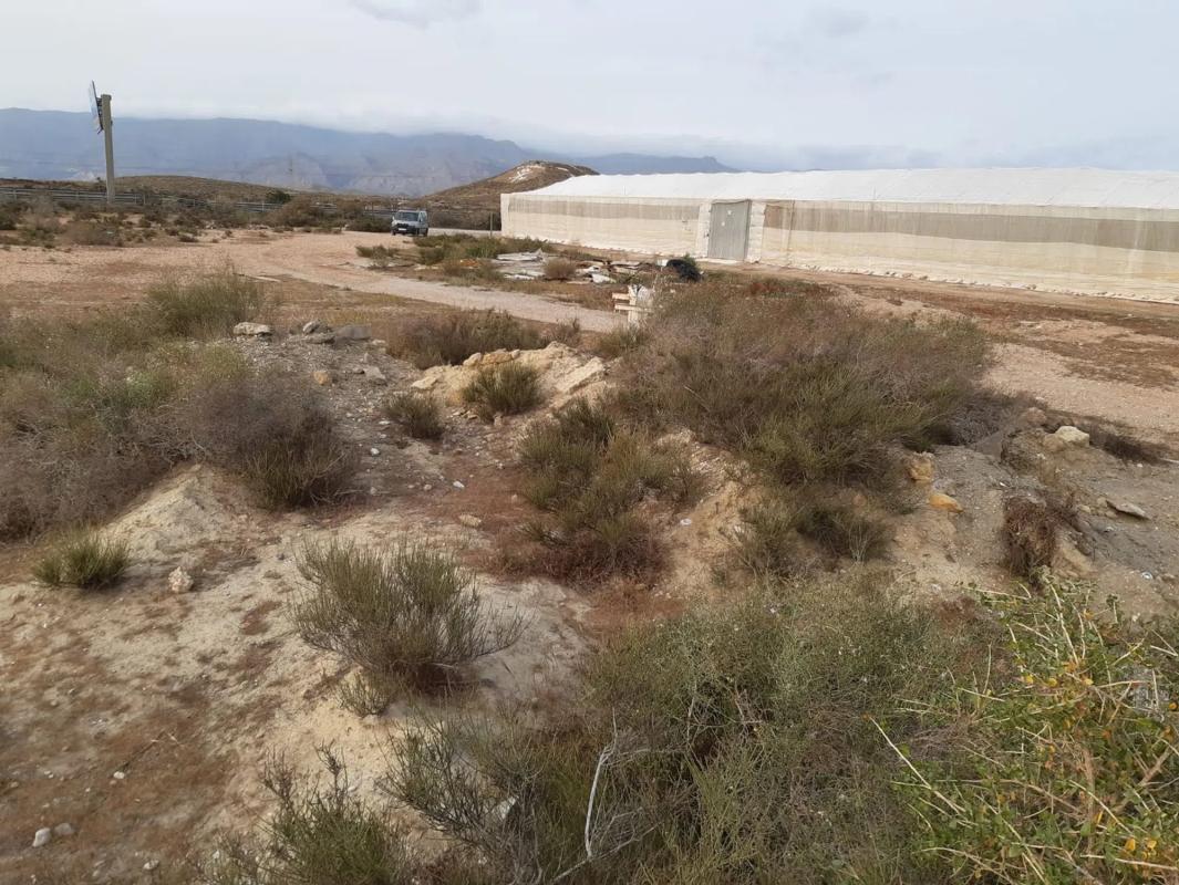 Terreno en venta en Viator, Almería photo 4