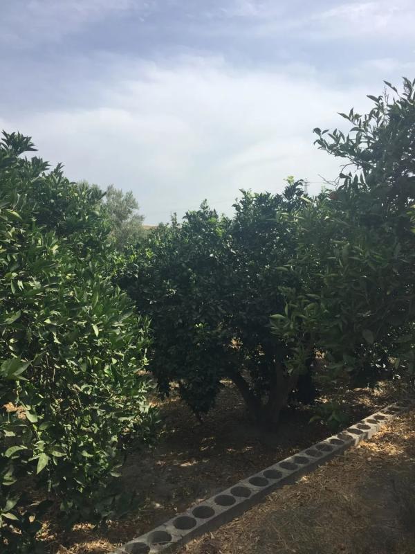 Terreno en venta en Rioja, Almería photo 2