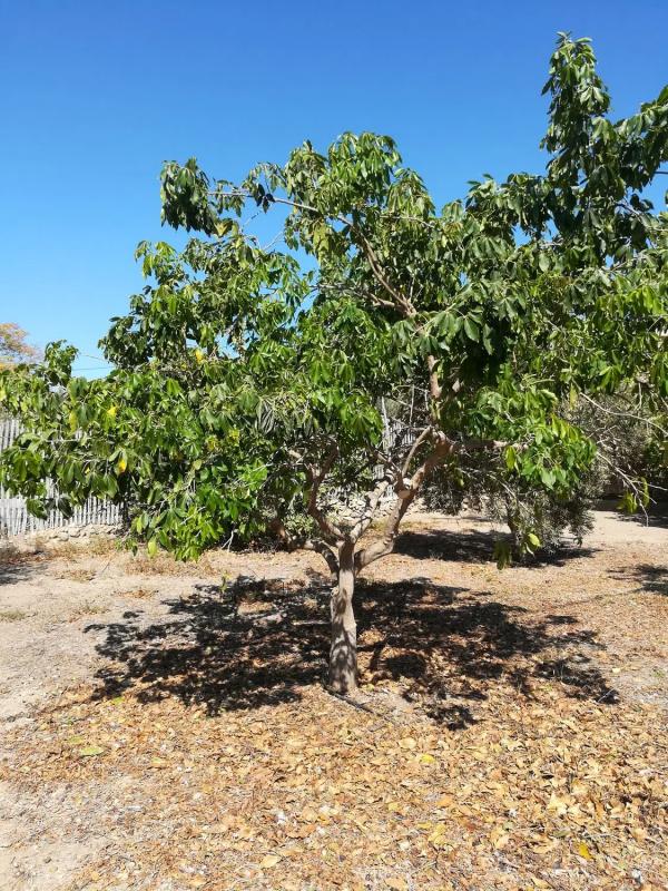Terreno en venta en Pechina, Almería photo 2