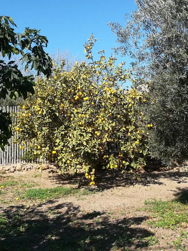 Terreno en venta en Pechina, Almería photo 3