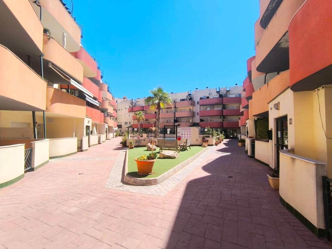 Sprzedaż mieszkania w Avenida de Daya Nueva, Almoradí
photo 3