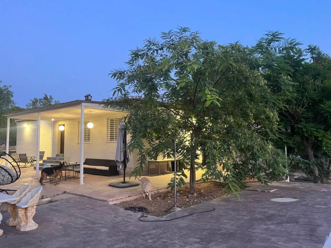 Properties for sale and rent in Spain photo 4