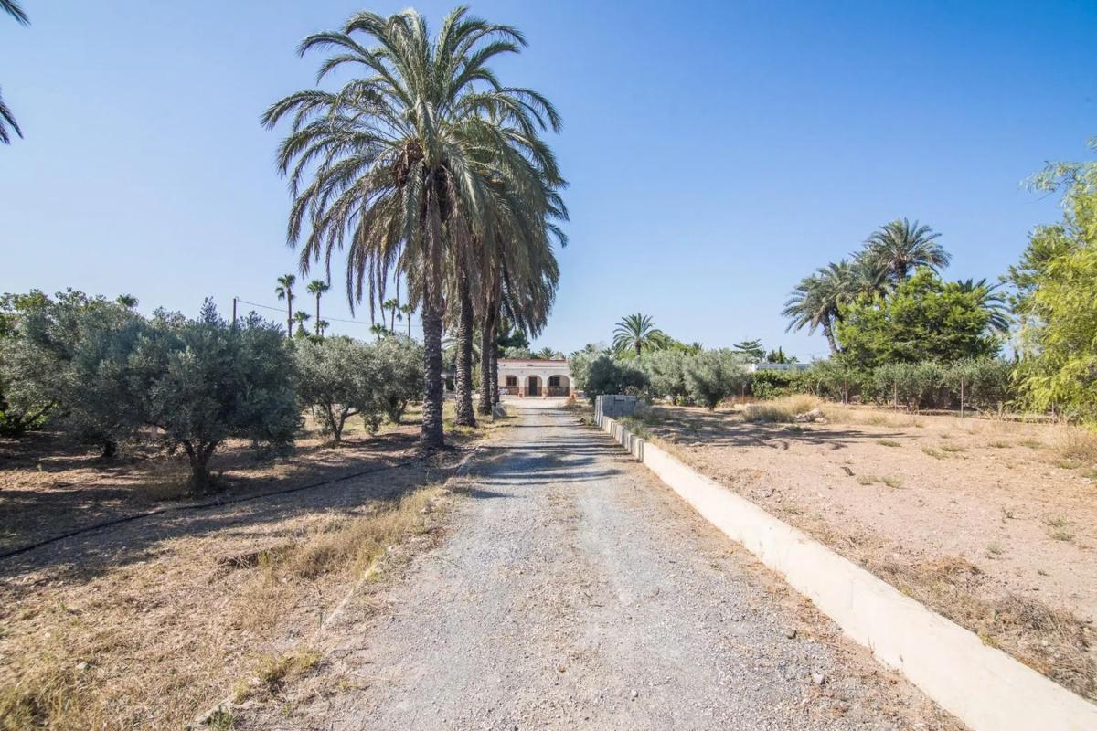 Properties for sale and rent in Spain photo 2