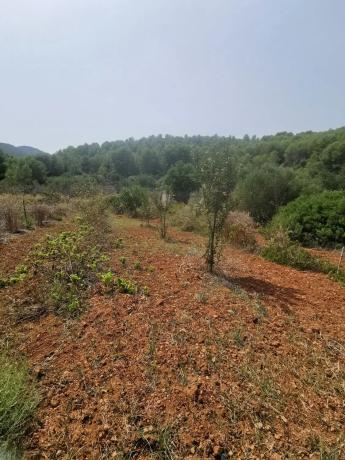 Casa independiente en camino de Bèrnia, 21 thumbnail 2