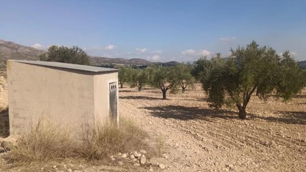 Terreno en Salinas photo 1