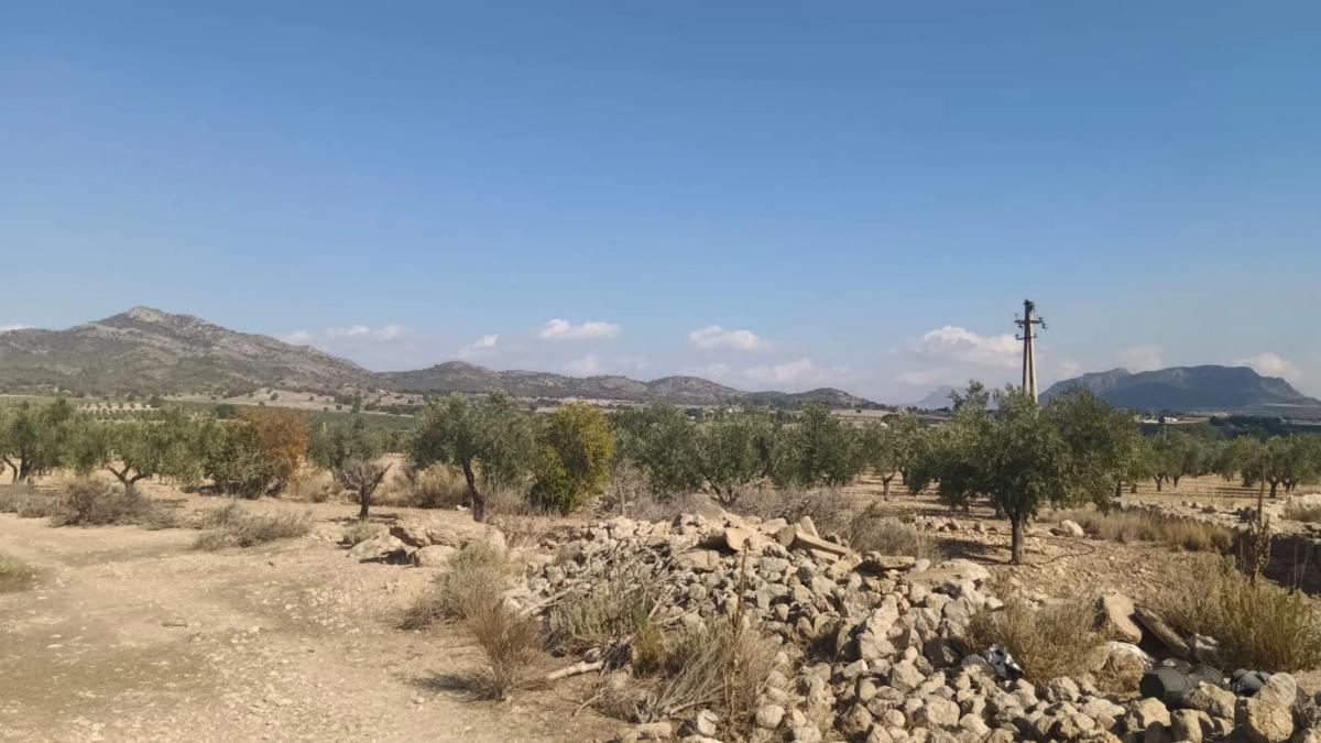 Działka na sprzedaż w Salinas, Alicante photo 2
