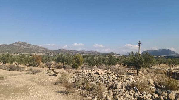 Terreno en Salinas photo 2