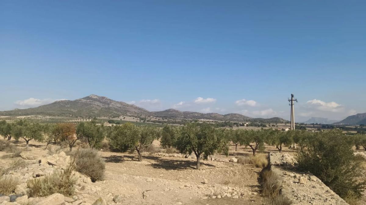Działka na sprzedaż w Salinas, Alicante photo 3