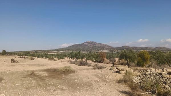 Terreno en Salinas photo 4