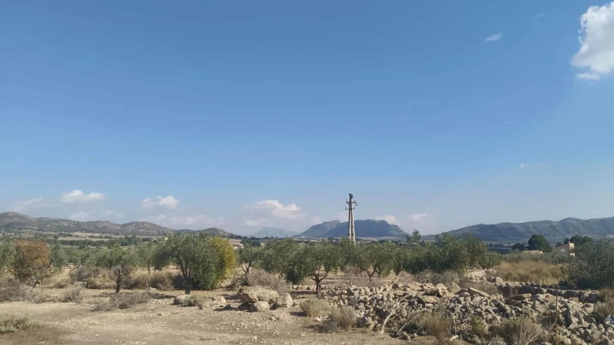 Działka na sprzedaż w Salinas, Alicante photo 5