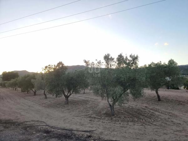 Terreno en Salinas photo 1