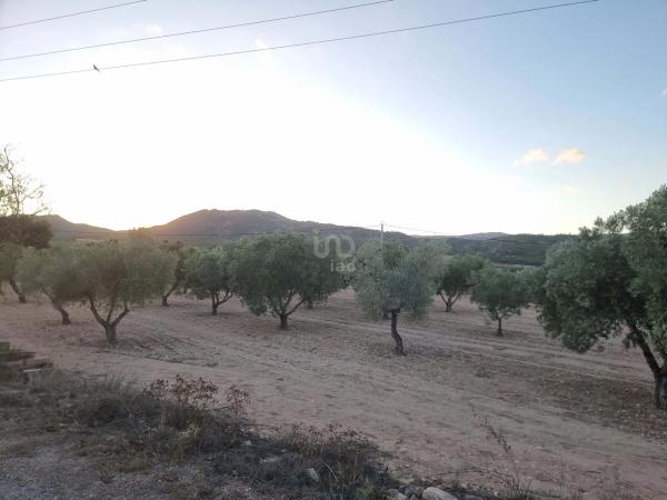 Terreno en Salinas photo 2