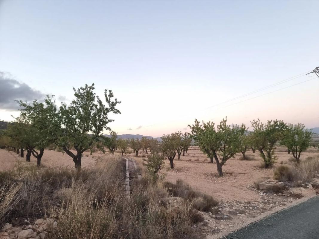 Land for sale in Salinas, Alicante photo 1