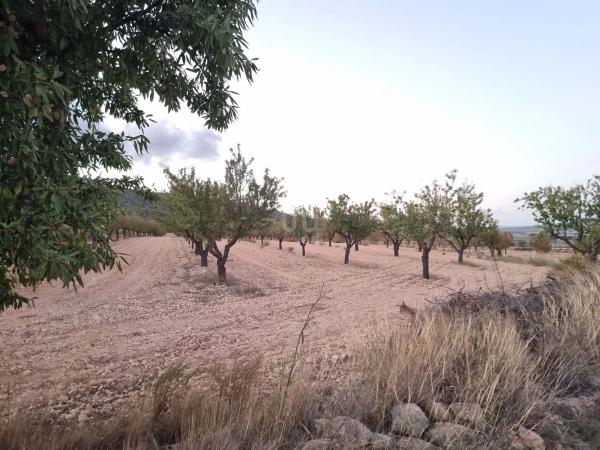Terreno en Salinas photo 2