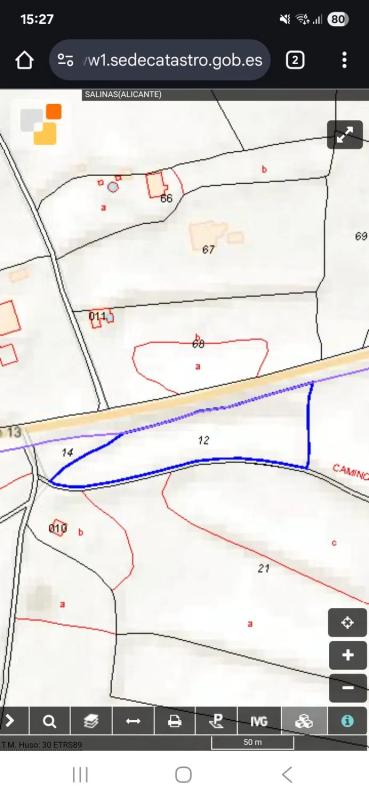 Land for sale in Salinas, Alicante photo 5