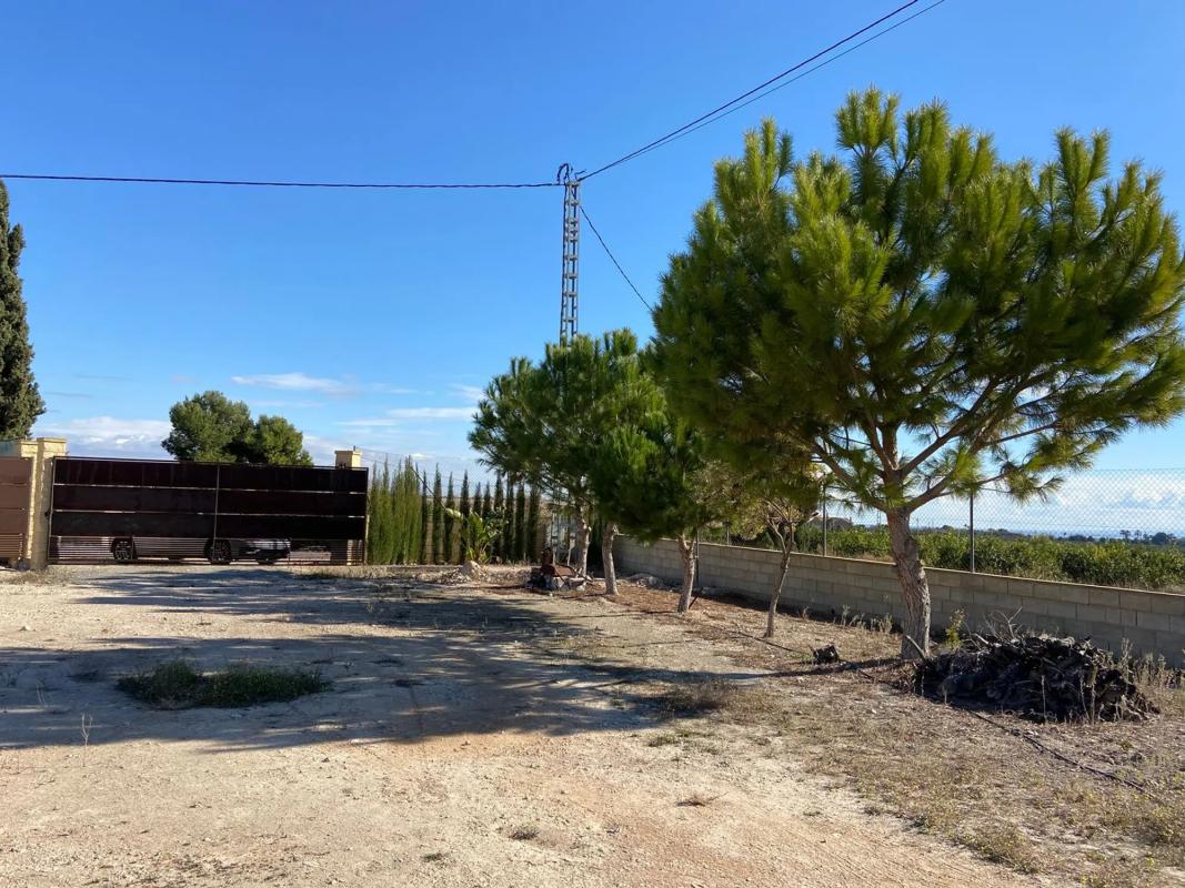 Terreno en venta en Albatera, Alicante photo 5